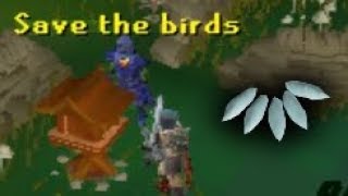 Fossil Island BUFFS!