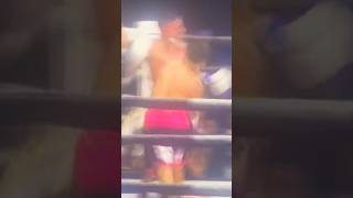 Fernando Vargas Jr Gets Knockout of The Year