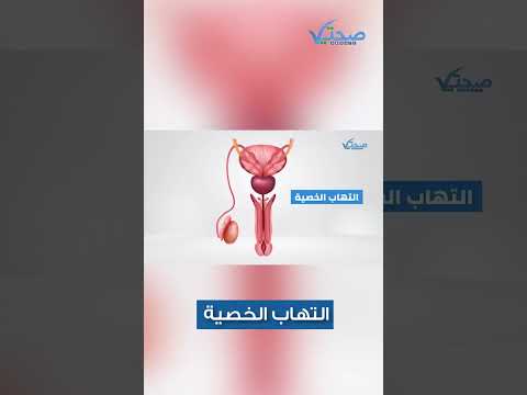 ما هو التهاب الخصية عند الرجال