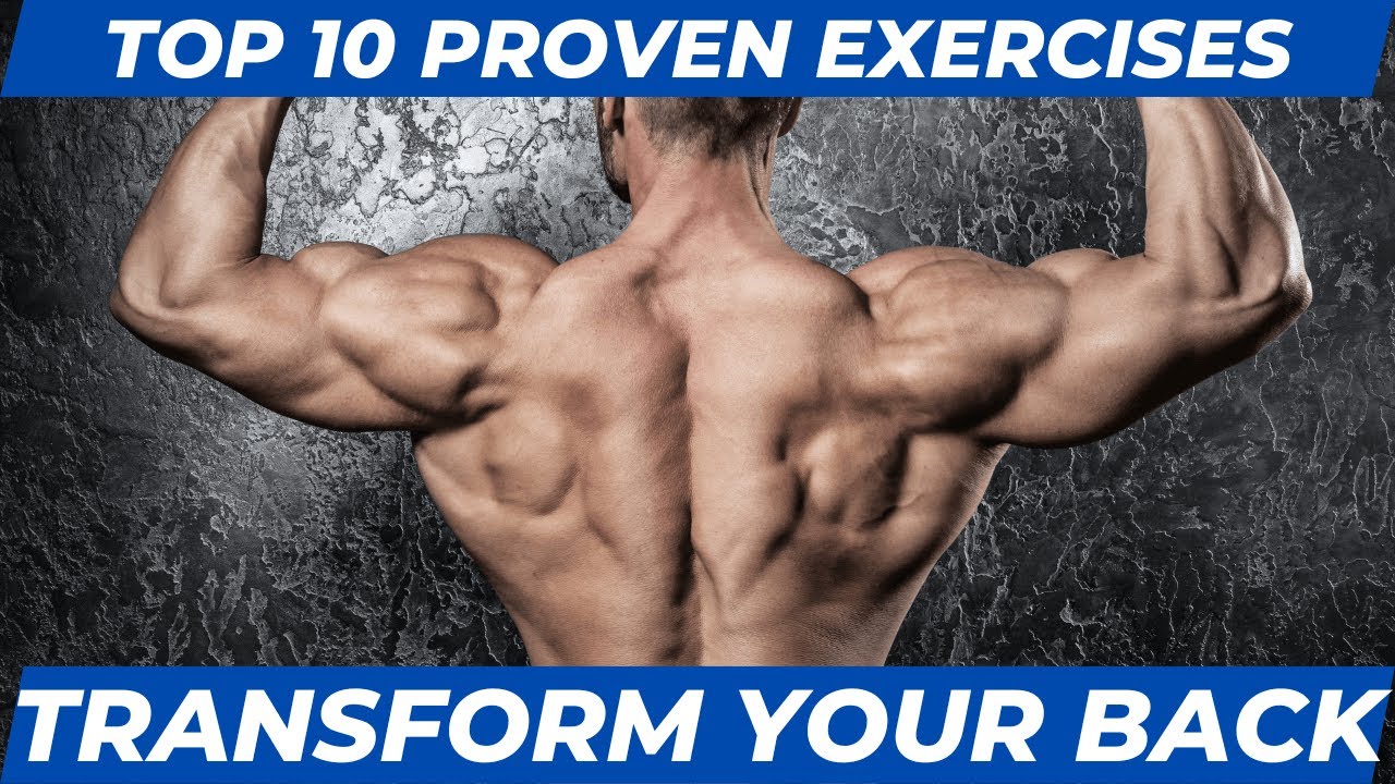 Back Attack 10 Exercises to Sculpt Your Back Muscles Like a Pro YouTube