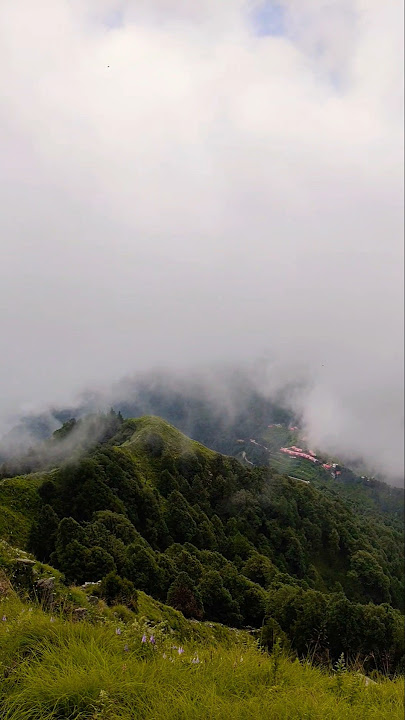 beauty of uttarakhand #viralmusic #cover #travel #automobile #ganga #nature #viralsong