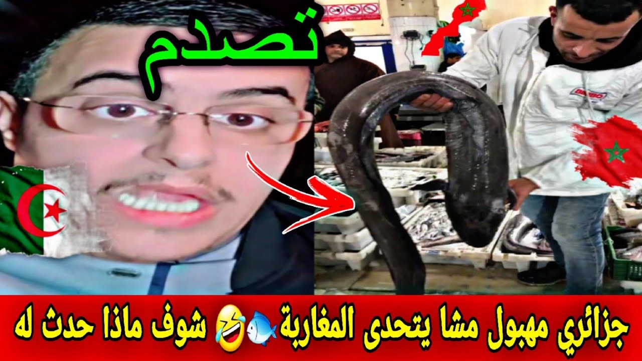 جزائري مهبول مشا يتحدى المغاربة 🐟🤣 شوف ماذا حدث له ..؟  