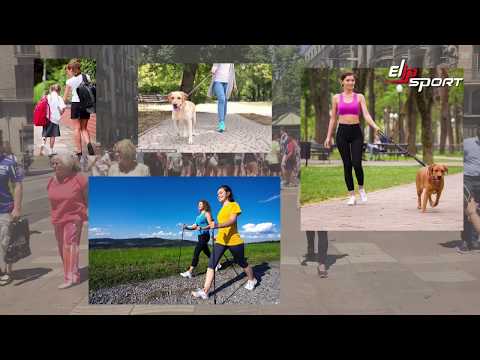 Đi bộ có giảm cân giảm mỡ bụng được không ? || Elipsport.vn