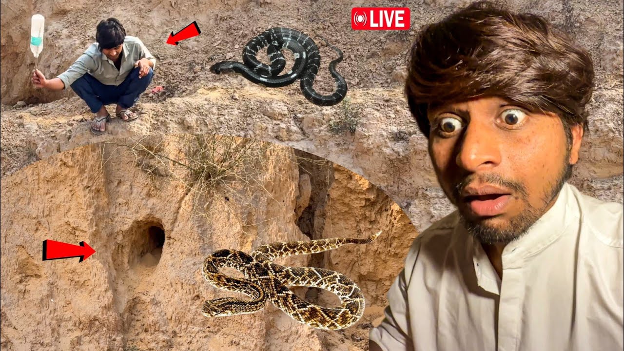Latest Title & Thumbnail