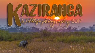 Kaziranga Wildlife Photography  -  Nameri  I  Kaziranga  I  Hoollongapar