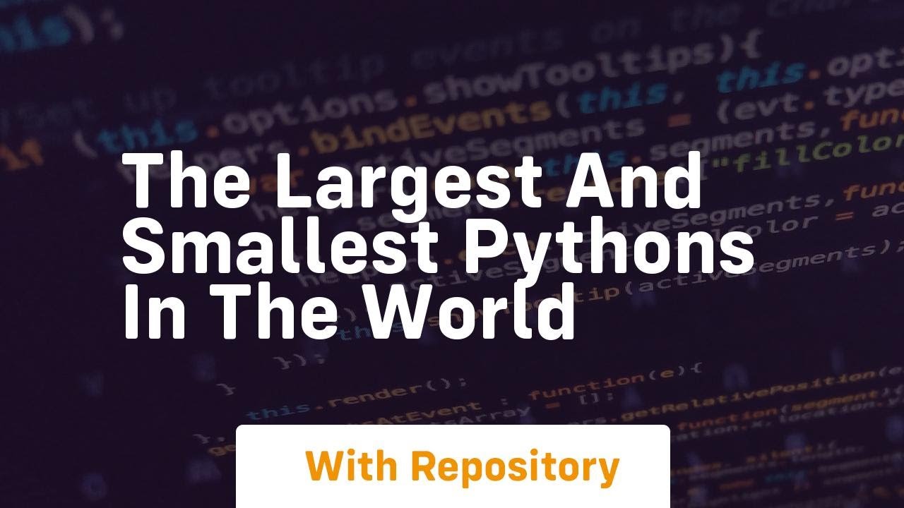 The largest and smallest pythons in the world - YouTube