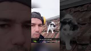 Funny Pets | 2023😂 Funny Dogs And Funny Cats Videos 🐱 🐕 😄 #15