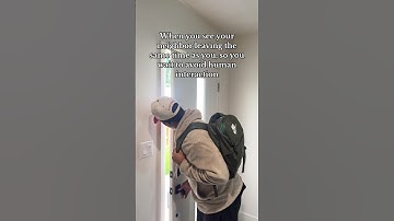 When you want to avoid human interactions!