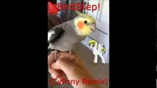 BirdStep! (CyPony Remix)