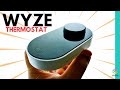 Who Says Smart Thermostats Can't Be Cheap? | WYZE THERMOSTAT 3-MONTH REVIEW