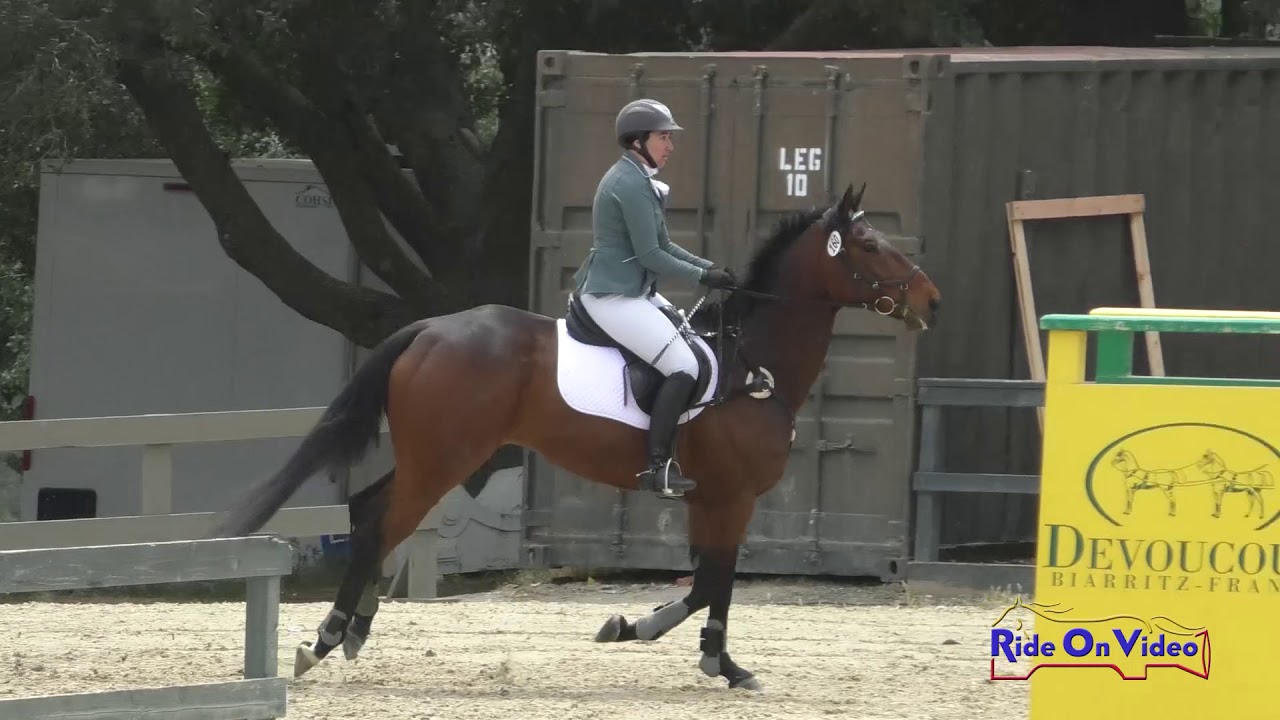 horseshoe bend 160S Stephanie Nicora Highly Likely SR Training Show Jumping Woodside May 2019