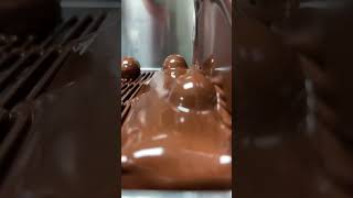 SingleOrigin Dark Chocolate Ganache Truffles enrobed in Dark Chocolate and covered with Cocoa Powder