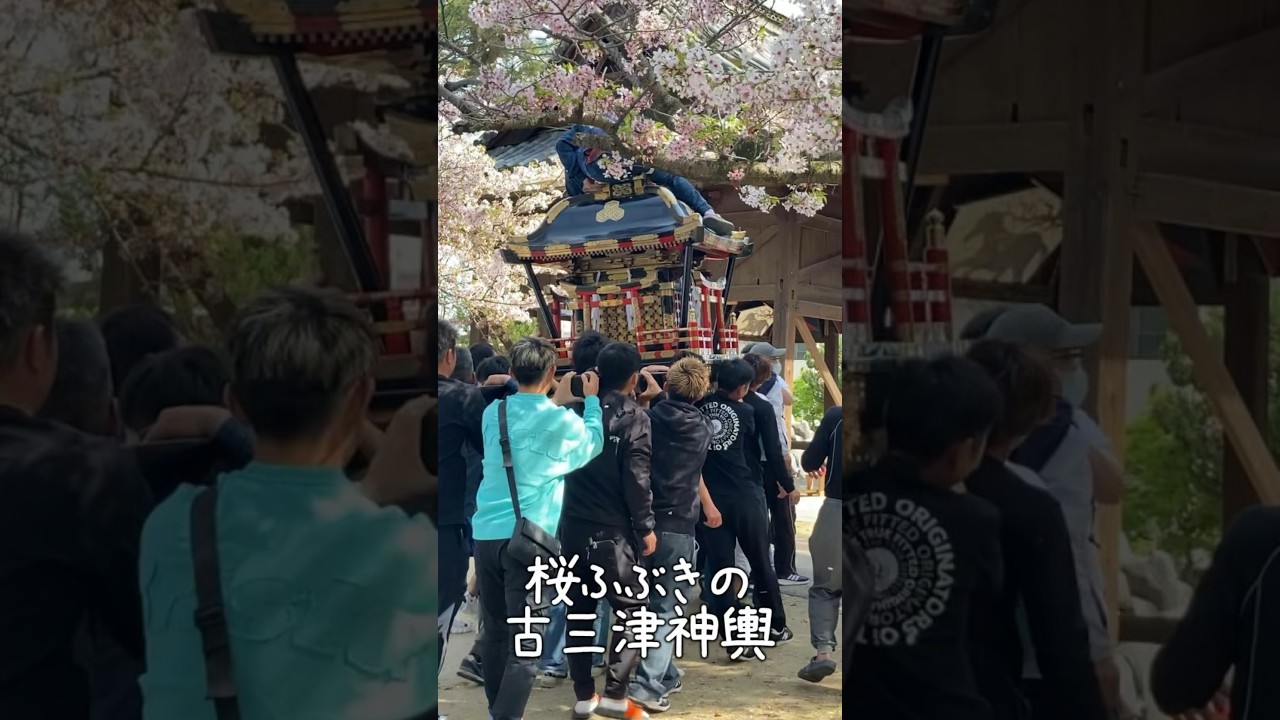 古三津神輿のお花見＠三津厳島神社（2024年4月14日）