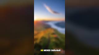 3 слова, которые изменят всё | Сила понимания и поддержки в отношениях