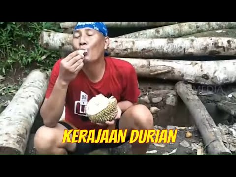 Video: Durian adalah buah kerajaan