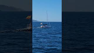 Navegando por la Ría de Vigo #vigo #galicia