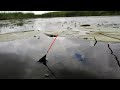 Ныряет поплавок среди кувшинок! Рыбалка на малой реке с удочкой