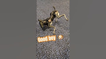 High five ✋️,  robot dog seen at CES 2025