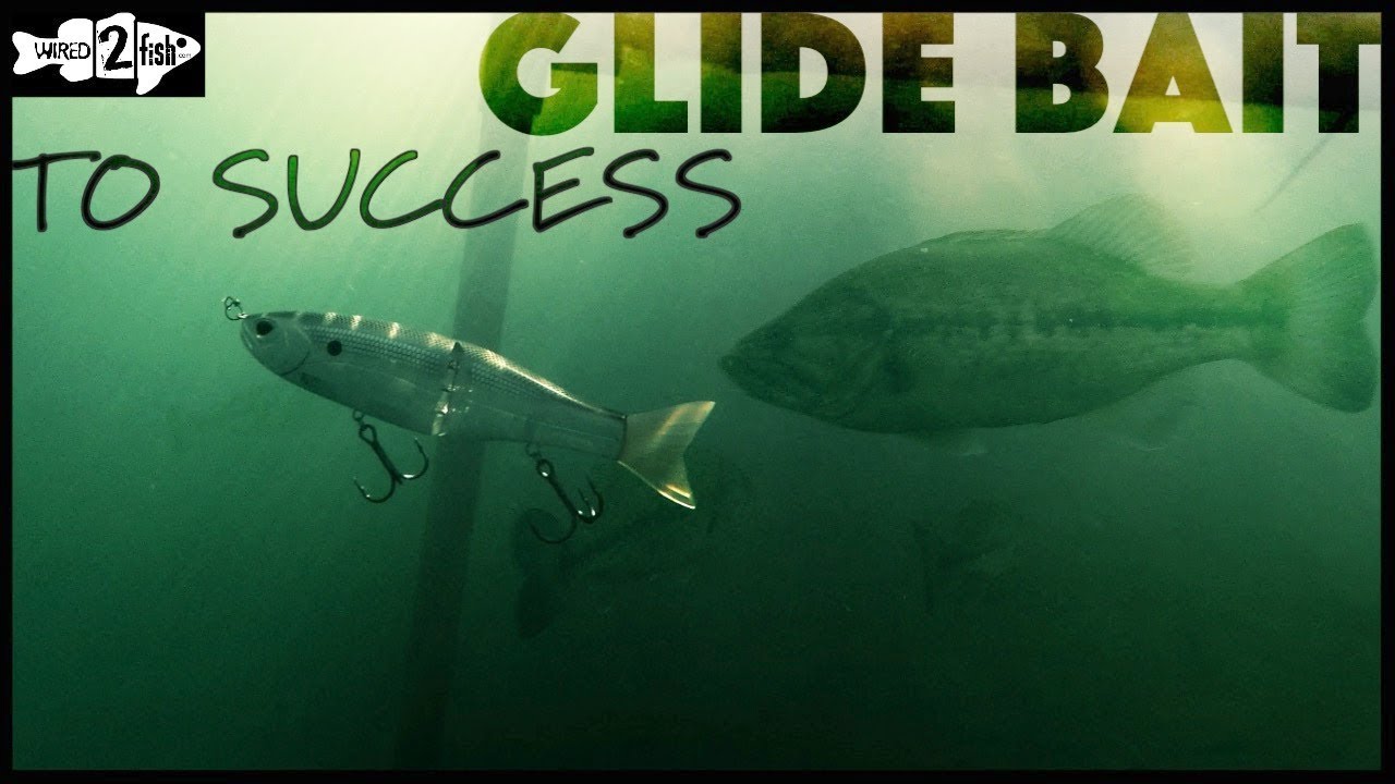 The Basics of Glide Bait Fishing Bass 