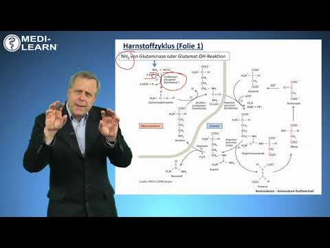 Video: Künstliche Pyrethroide. Teil 2