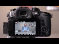 GH5 Shutter Speed Angle ISO Gain