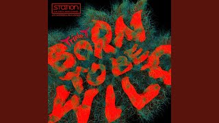 Download Lagu Born to be Wild (Feat. JYP) Download Lagu Born to be Wild (Feat. JYP)