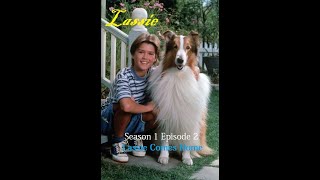 Lassie 1997 TV Series | Season 1 Episode 2 | Lassie Comes Home