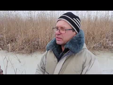 У лунке бухать лучше чем у подъезда