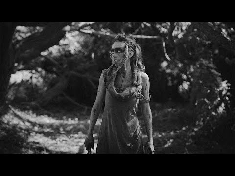 Related Embedded Video Item Thumbnail