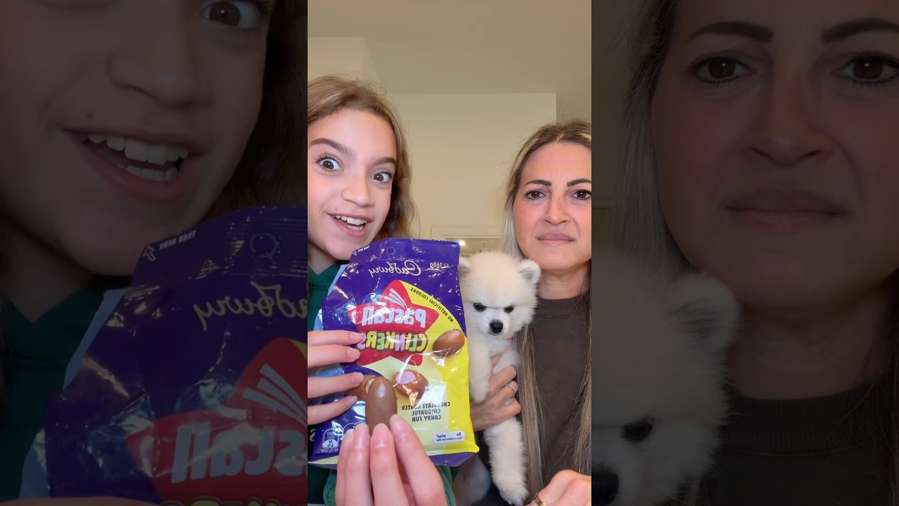 Guys she’s so serious!! Helpppppp! #puppy #challenge #relatable #trending #fitcheck