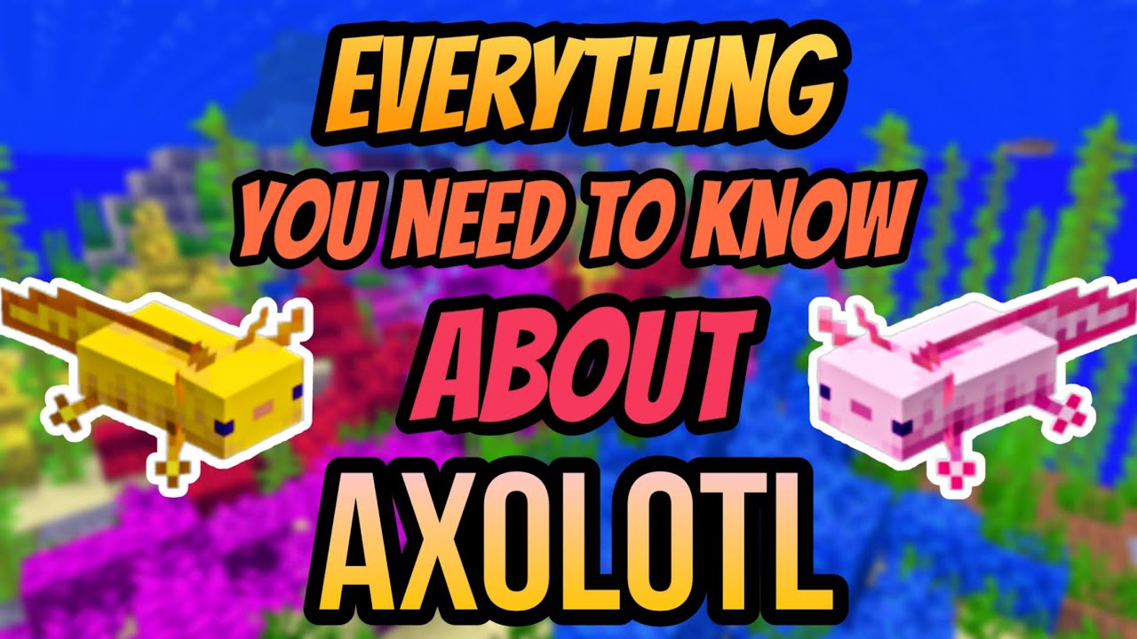 Everything You Need To Know About Axolotl Caves And Cliffs Update Mcpe