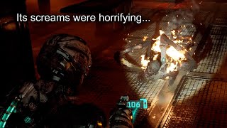 mqdefault.jpg