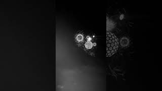 Coreflare  A Sphere’s Journey Through Light and Matter