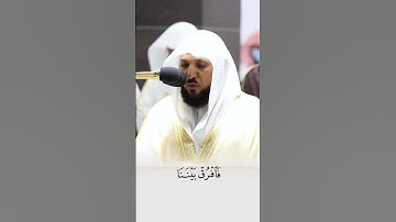 فلا تأس علي القوم الفسقين/ما تيسر من سورة المائدة