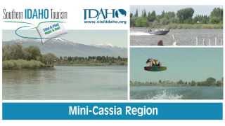 Mini Cassia in Southern Idaho