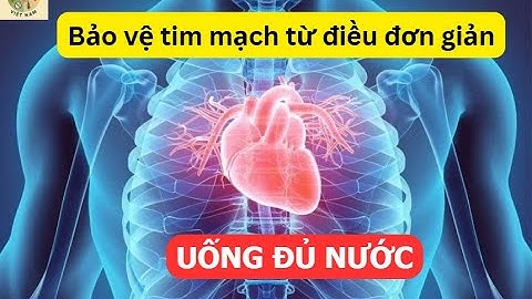 “Uống đủ nước: Bảo vệ tim mạch từ điều đơn giản nhất”