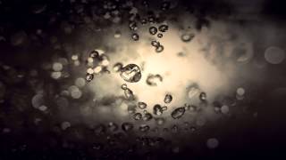 Ember Waves - Weather The Storm