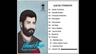 AHMET KAYA   HAYDİ GÜL