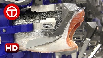 How Salmon Fillet Are Made in Factory | How It