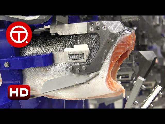 How Salmon Fillet Are Made in Factory | How It's Made ▶01 class=