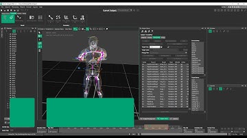 Vicon Shōgun 1.3 Post Tutorial - Retargeting Test