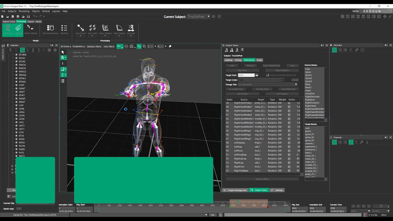 Vicon Shōgun 1.3 Post Tutorial - Retargeting Test