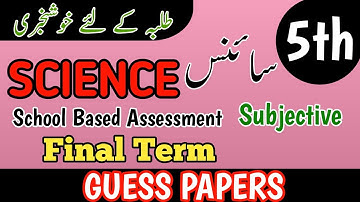 Class 5 Science Subjective Annual Term Paper School Based Assessment 2025 | 3rd Term papers 5 Class