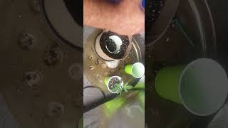 Up potting into bottomless pots GELATO AUTO Day 12, took top off one π¬π§π―π