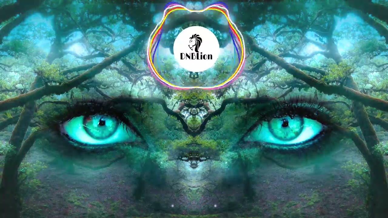 🦁 Rüfüs Du Sol - Innerbloom (Pirapus Bootleg)