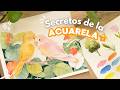 SECRETOS de acuarela que me hubiera gustado saber antes 🤫 🎨| Pinta conmigo