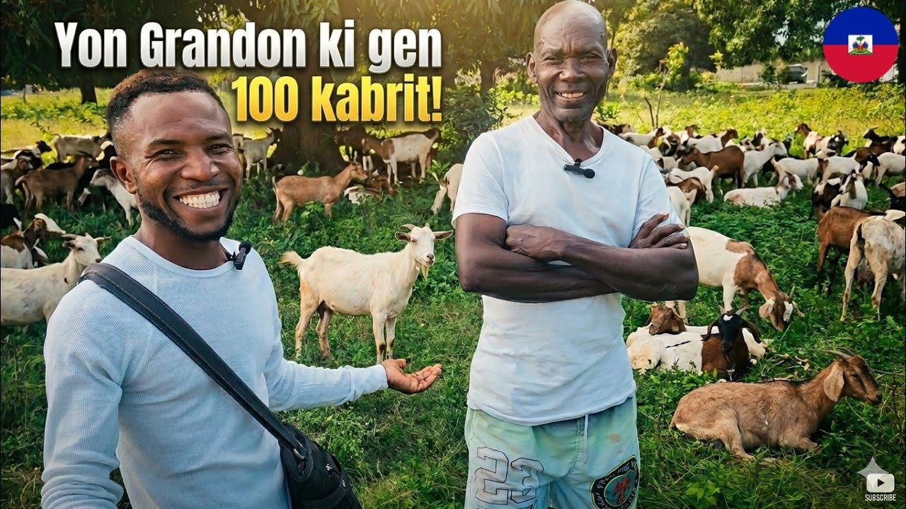 Sekrè nan Gade Kabrit : Bonjan Konsèy nan Depatman Nò!