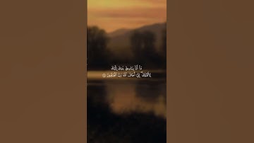 القارئ محمد صديق المنشاوي | سورة المائدة