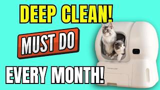 Deep Clean Your HomeRunPets Self-Cleaning Litter Box