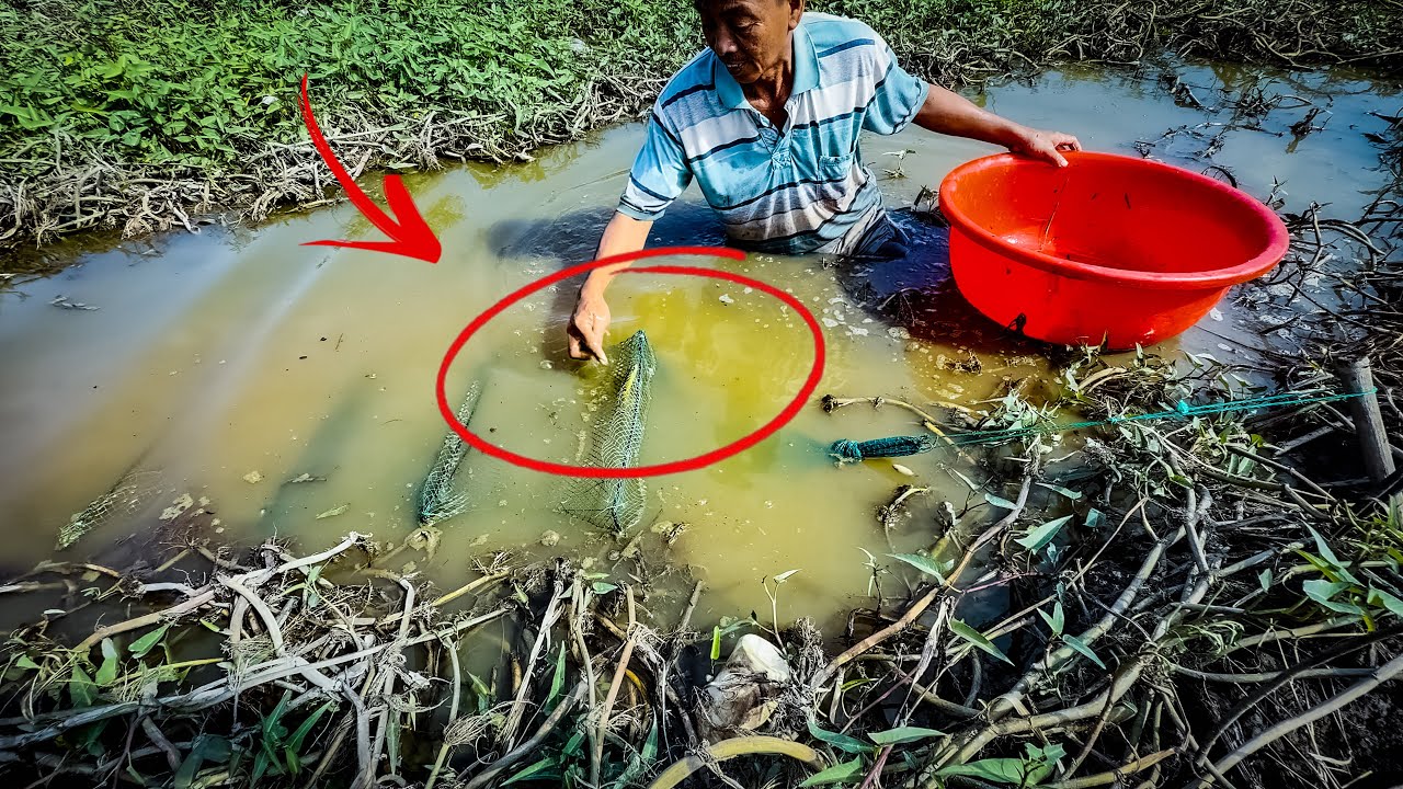 Thăm Lú Cá 12 Cửa Ngục Trúng Lớn Trận Này Rồi